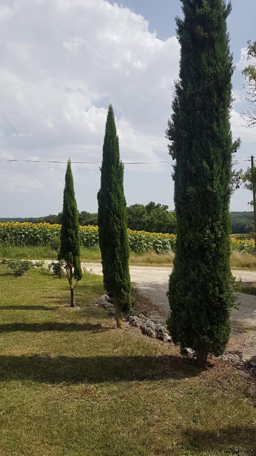 Charmant Logement A La Campagne Gazaupouy Esterno foto
