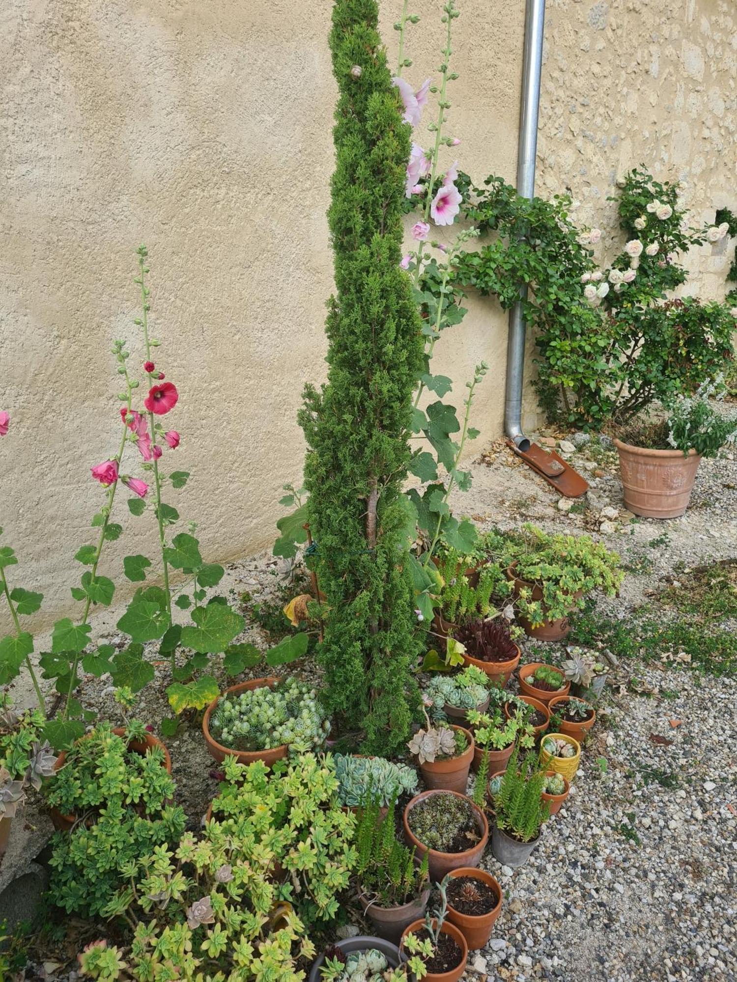 Charmant Logement A La Campagne Gazaupouy Esterno foto